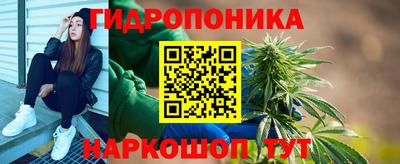 прущие грибы Брянск