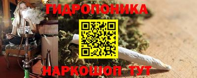 прущие грибы Брянск