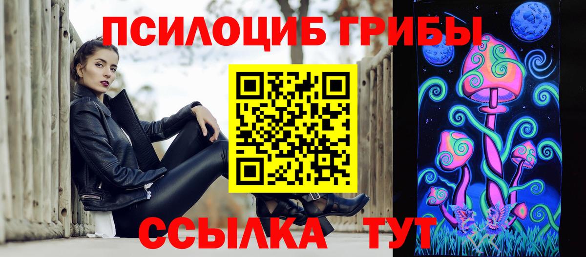 Елец  Псилоцибиновые грибы Cubensis  Вход с VPN 