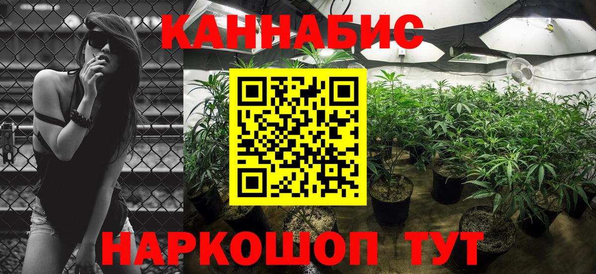 Канабис конопля Елец